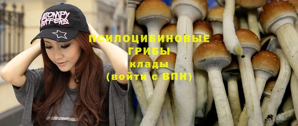 не бодяженный Козельск