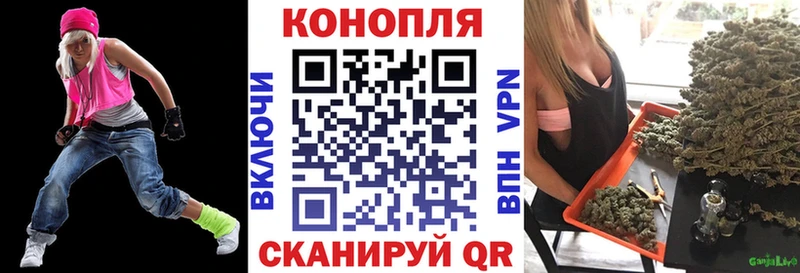 Бошки марихуана OG Kush  Купить где  Белозерск 